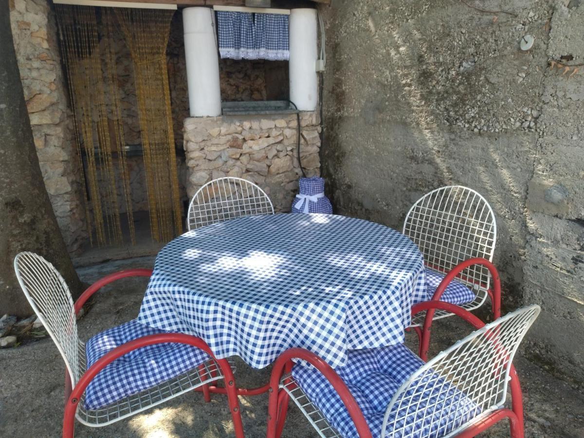 Apartment Tuja Jadrtovac Zewnętrze zdjęcie